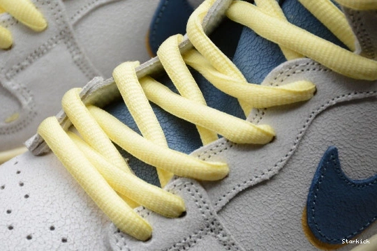 CZ3334-100 Sea High Lost SB Atlas (2020) at Nike Dunk 0727